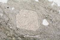 Micaschiste à grenats et glaucophane LPNA x3,5